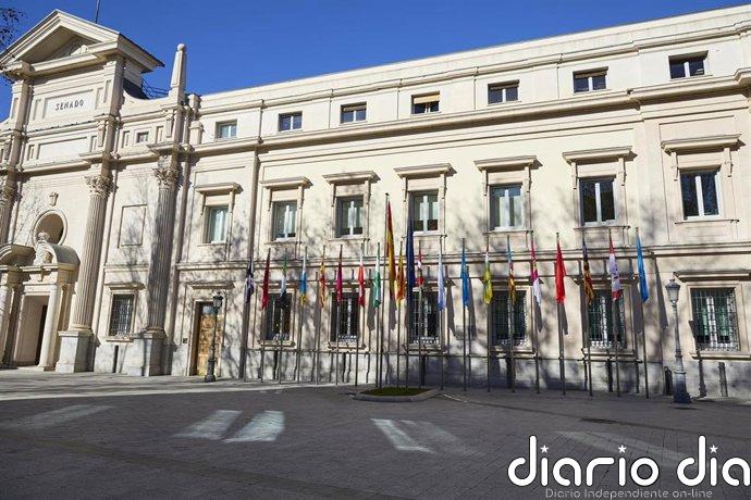 CERMI pide reforzar derechos en la reforma de las leyes de discapacidad y dependencia en su tramitación en el Senado