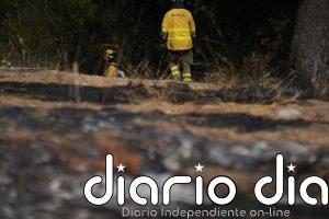 Cien efectivos del Infoca trabajan por tierra en un incendio en un paraje de El Cerro del Andévalo (Huelva)