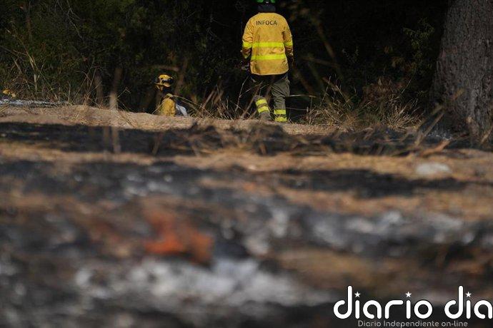 Cien efectivos del Infoca trabajan por tierra en un incendio en un paraje de El Cerro del Andévalo (Huelva)