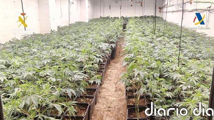 Cinco detenidos al desmantelar cinco plantaciones de marihuana en inmuebles de Osuna y Estepa en Sevilla