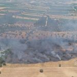 Controlado el incendio declarado este domingo en Malpica del Tajo
