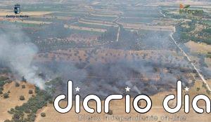Controlado el incendio declarado este domingo en Malpica del Tajo
