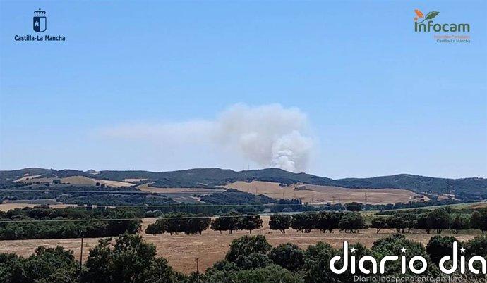 Controlado el incendio forestal entre Robledillo de Mohernando y Malaguilla