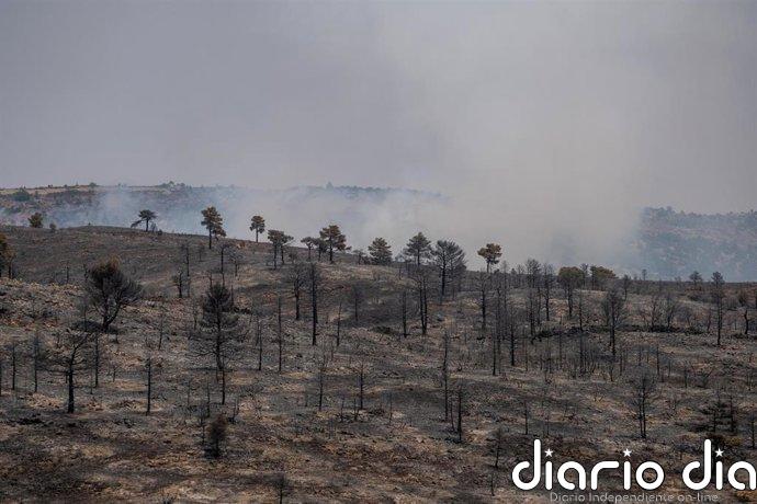 Controlados los incendios de La Cerollera y Ejulve tras afectar a 82 y 3.000 hectáreas respectivamente