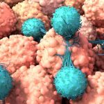 Crean una nueva terapia que reprograma las defensas contra el cáncer sin extraer las células del paciente
