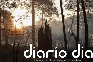 CyL defiende la coordinación contra el fuego pese a no haber solicitado el IGR3 y augura más riesgo en agosto