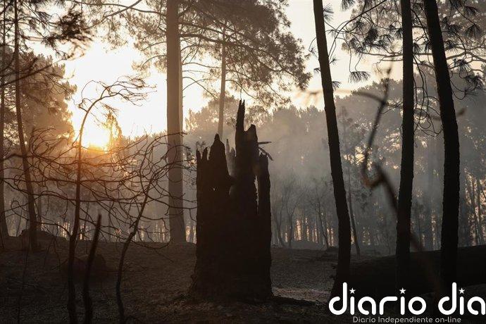 CyL defiende la coordinación contra el fuego pese a no haber solicitado el IGR3 y augura más riesgo en agosto