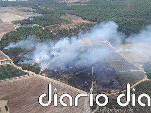 Dado por estabilizado el incendio en El Pilonar de Lucena del Puerto (Huelva)