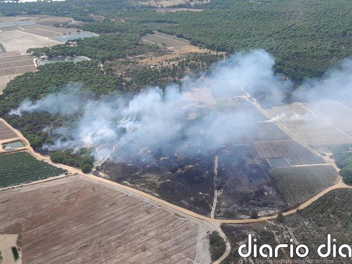 Dado por estabilizado el incendio en El Pilonar de Lucena del Puerto (Huelva)