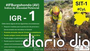 Declarado índice de gravedad 1 un incendio en Borgohondo (Ávila)