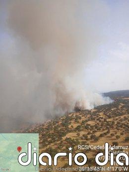 Declarado un incendio forestal en Cardeña (Córdoba), con diez medios aéreos movilizados Imagen del incendio.