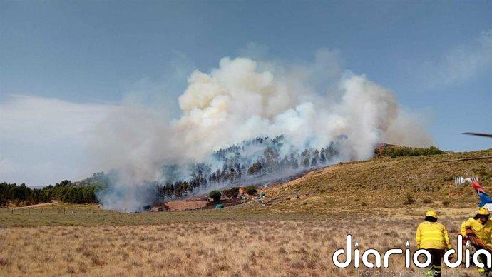 Declarado un incendio forestal en Laujar de Andarax (Almería) que moviliza a doce medios aéreos