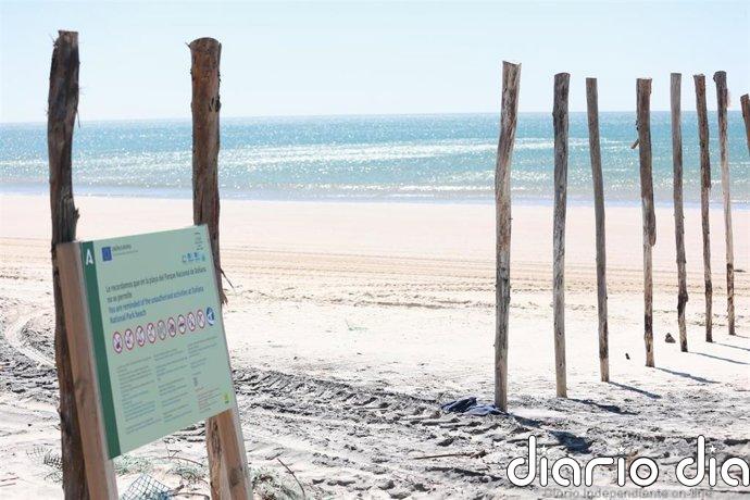 Denunciado por verter escombros en el Espacio Natural de Doñana (Huelva)