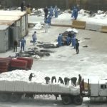 Denuncias de tráfico de menores en medio de la tragedia