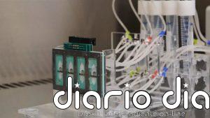 Desarrollan un "corazón en un chip" para mejorar la evaluación de la cardiotoxicidad de fármacos