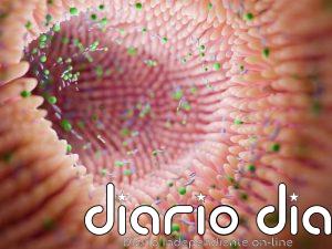 Desarrollan una terapia con virus que reduce la inflamación intestinal sin dañar la microbiota