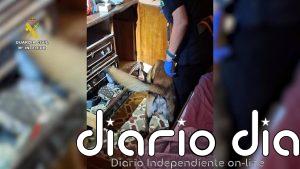Desarticulados cuatro puntos de venta de droga en Sueca y Riola