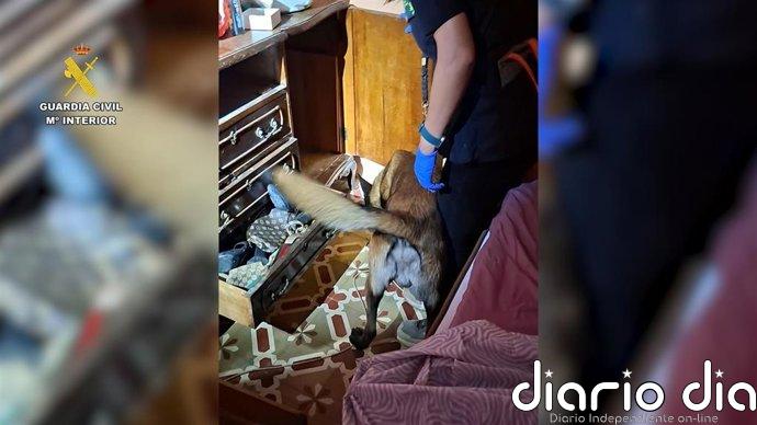 Desarticulados cuatro puntos de venta de droga en Sueca y Riola
