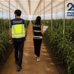 Descubierto en Almería un fraude de medio millón de euros a la Seguridad Social con una red de empresas agrícolas