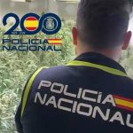Desmanteladas tres plantaciones indoor de marihuana en la barriada Palmete de Sevilla con dos detenidos