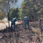 Detenido un hombre e investigado otro por presuntamente provocar 15 incendios en la provincia de Zamora