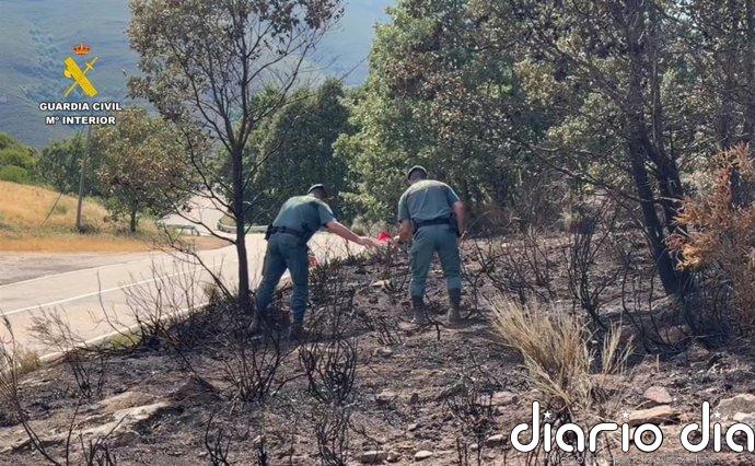 Detenido un hombre e investigado otro por presuntamente provocar 15 incendios en la provincia de Zamora