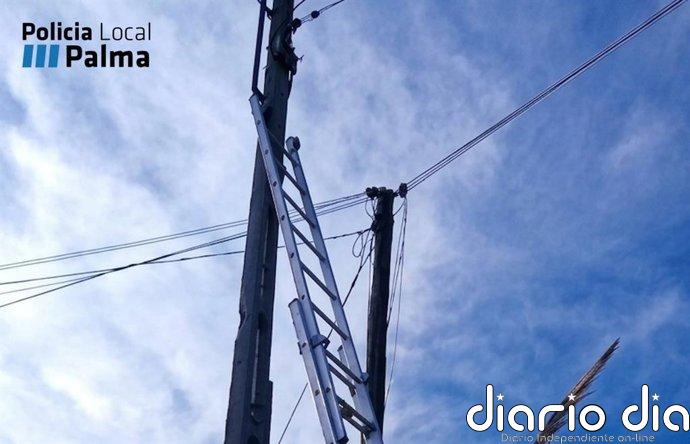 Dos investigados por manipular un poste de alta tensión para hacer un enganche ilegal en una vivienda en Palma