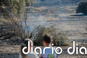 Educo advierte del "impacto emocional" en la infancia de los incendios en España