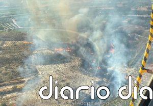 Efectivos del Plan Infomur trabajan para extinguir un incendio forestal en Villanueva del Río Segura