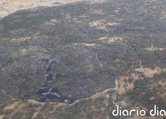 El arzobispo de Toledo dispensa a los fieles del precepto dominical debito a la situación de los incendios forestales