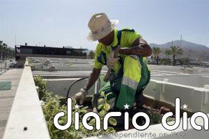 El Ayuntamiento de Cartagena renueva las pérgolas del puerto con más de 600 nuevas plantas