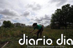 El Ayuntamiento estudia cómo modificar la norma para que los huertos urbanos no paguen el agua, unos mil euros al año