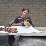 El cacao se consolida como motor de sostenibilidad en República Dominicana y de autonomía para mujeres rurales en Perú