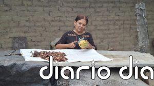 El cacao se consolida como motor de sostenibilidad en República Dominicana y de autonomía para mujeres rurales en Perú