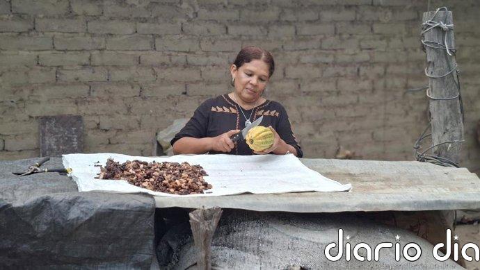 El cacao se consolida como motor de sostenibilidad en República Dominicana y de autonomía para mujeres rurales en Perú