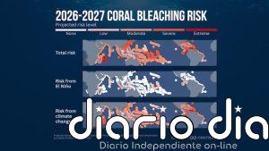 El cambio climático por la actividad humana, y no El Niño, impulsa el blanqueamiento de corales