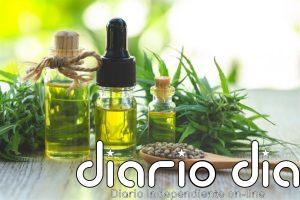 El cannabis medicinal muestra resultados prometedores frente a la agitación en la demencia