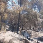 El convoy riojano desplazado a Ávila trabaja en el sector de Piedralaves, atendiendo a puntos calientes