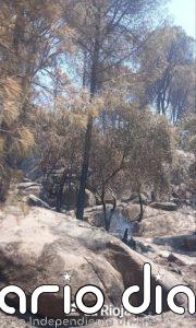 El convoy riojano desplazado a Ávila trabaja en el sector de Piedralaves, atendiendo a puntos calientes