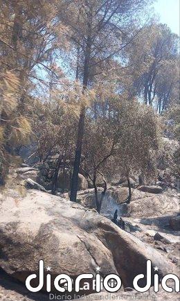 El convoy riojano desplazado a Ávila trabaja en el sector de Piedralaves, atendiendo a puntos calientes