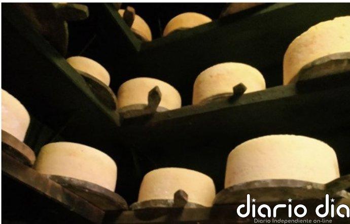 El CSIC desarrolla una metodología basada en el microbioma para autenticar el queso Gamonéu