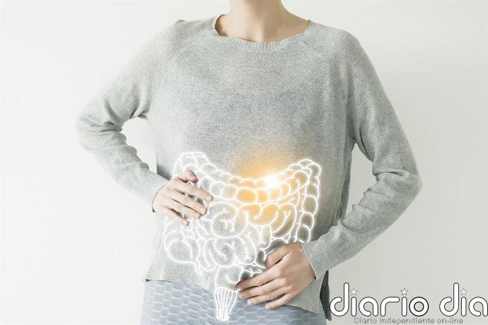 El eje intestino-corazón: Un subproducto de bacterias intestinales se asocia a mayor riesgo de fibrilación auricular
