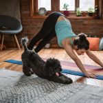 El ejercicio no es un castigo: las claves para integrarlo en tu vida sin depender del gimnasio