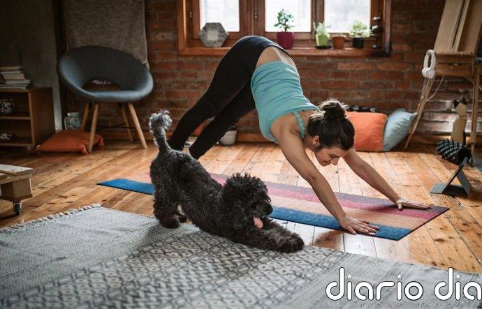El ejercicio no es un castigo: las claves para integrarlo en tu vida sin depender del gimnasio