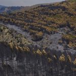 El fuego de La Mierla afecta a 16.000 hectáreas, deja 20 pueblos evacuados, 5 confinados y 800 personas desplazadas