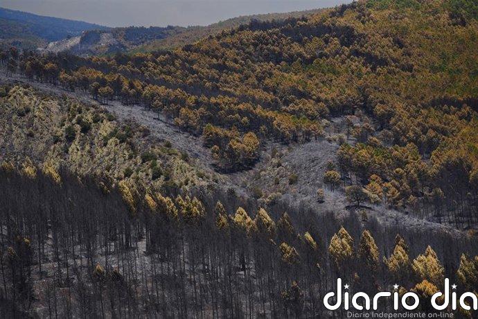 El fuego de La Mierla afecta a 16.000 hectáreas, deja 20 pueblos evacuados, 5 confinados y 800 personas desplazadas