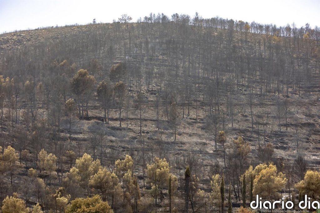 El fuego de la Vall d'Uixó arrasa 9.300 hectáreas y preocupa el flanco entre Tales y Alfondeguilla
