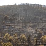 El fuego de la Vall d'Uixó arrasa 9.300 hectáreas y preocupa el flanco entre Tales y Alfondeguilla