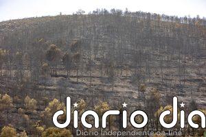El fuego de la Vall d'Uixó arrasa 9.300 hectáreas y preocupa el flanco entre Tales y Alfondeguilla