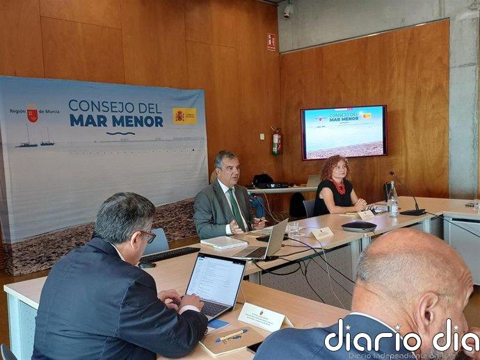 El Gobierno regional presenta al Consejo del Mar Menor nuevos avances normativos para la laguna